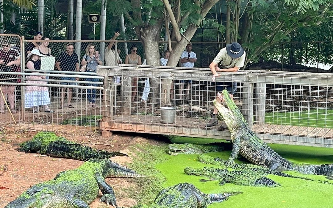 Ramatirtha Crocodile Project, Mayurbhanj, Odisha