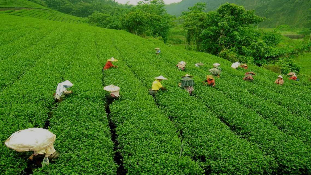 Assam Pin Code Assam Pin Code