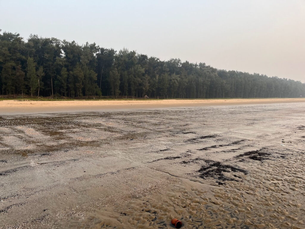 Bagda Sea Beach, Dublagadi, Balasore