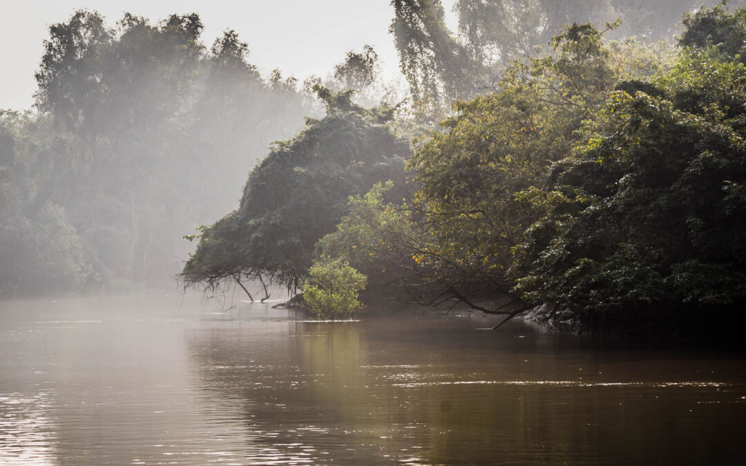 Bhitarkanika National Park, Kendrapara, Orissa