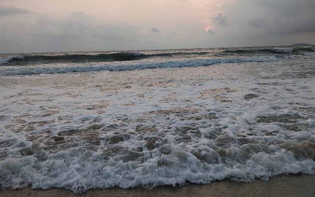 Cansaulim Beach, Goa (Things to do, Location, Activities, Night Life & Facts)