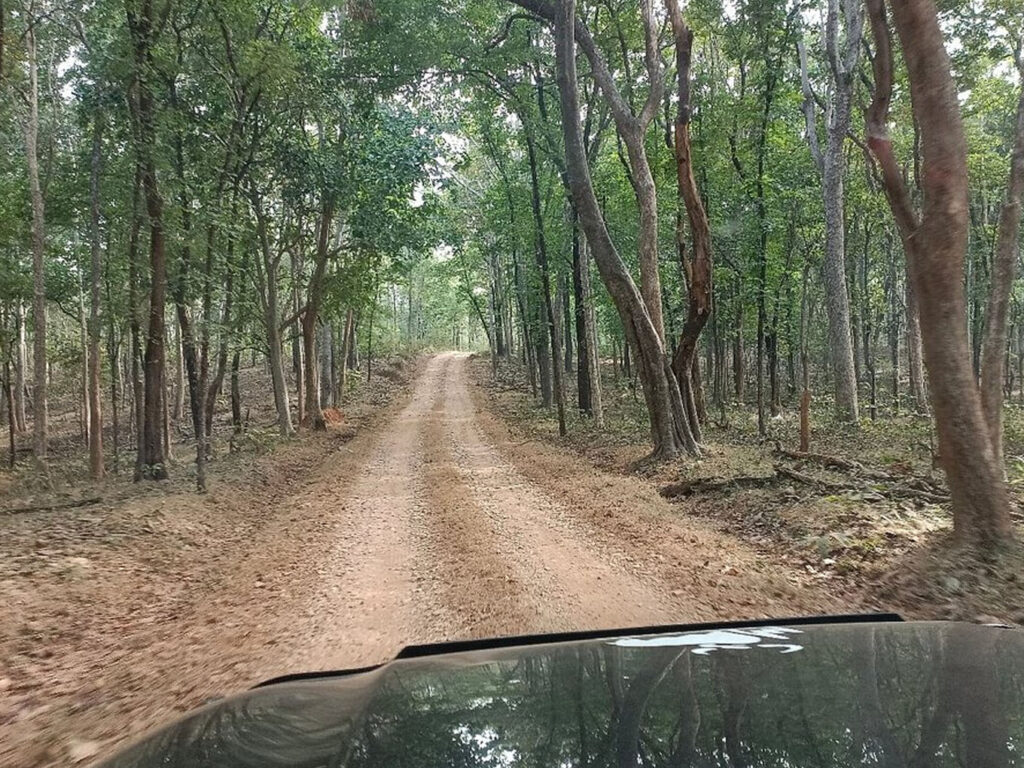 Debrigarh Wildlife Sanctuary