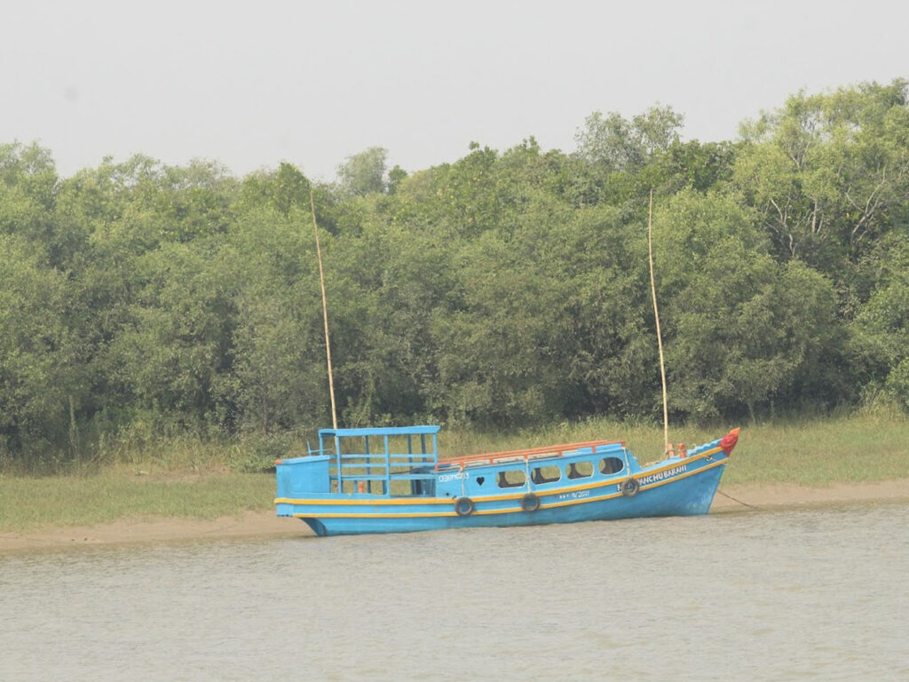 Habalikhati Sea Beach, Nature Camp, Kendrapara, Odisha
