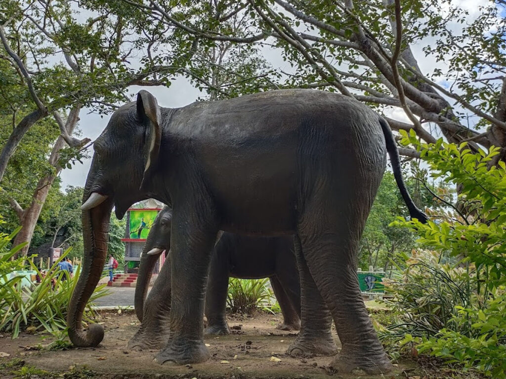 Karlapat Wildlife Sanctuary, Kalahandi, Odisha
