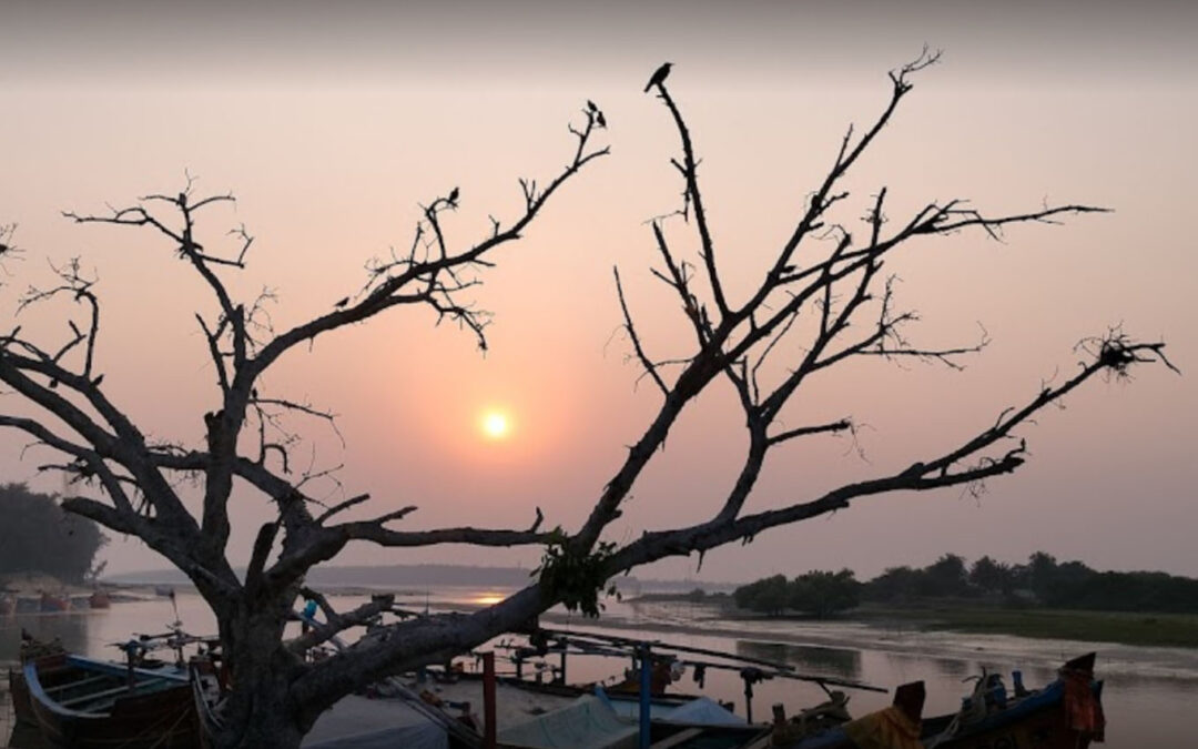 Kasafal Sea Beach, Red Crabs, Balasore, Odisha