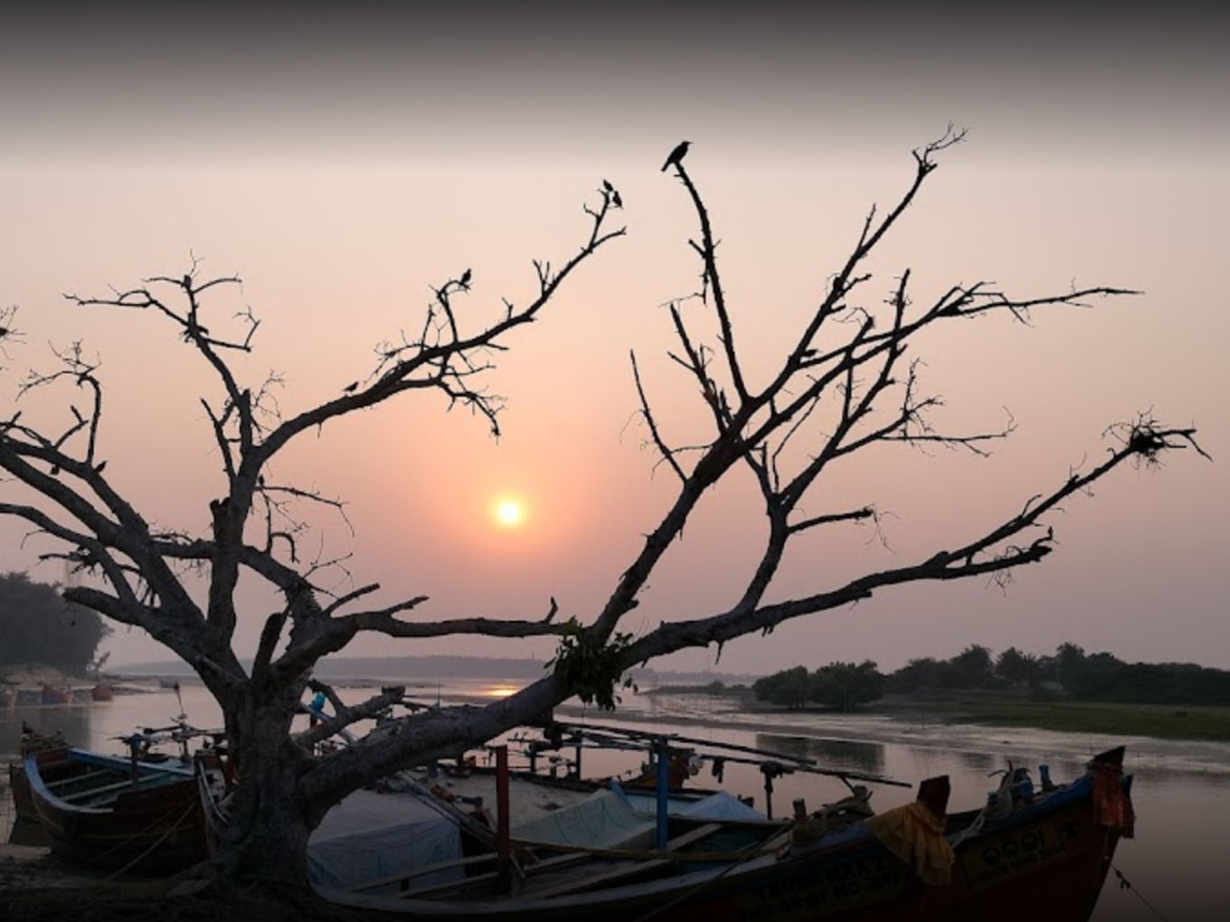 Select Kasafal Sea Beach, Red Crabs, Balasore, Odisha Kasafal Sea Beach, Red Crabs, Balasore, Odisha