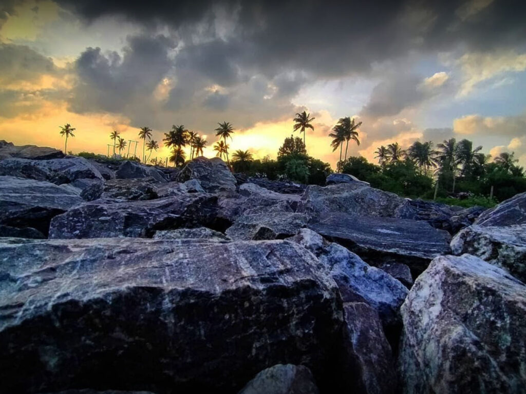 Pentha Sea Beach, Eco Retreat, Rajnagar, Kendrapara, Odisha