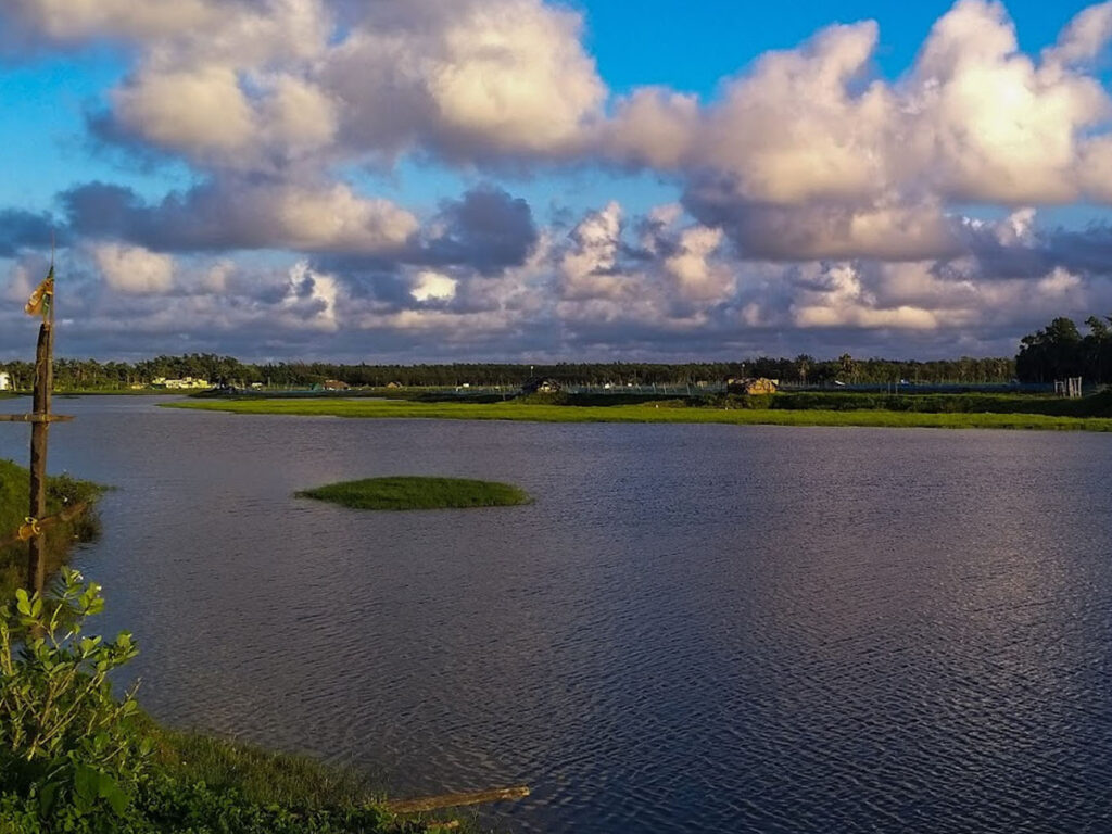 Pir Jahania Beach, Astarang, Kakatpur, Odisha