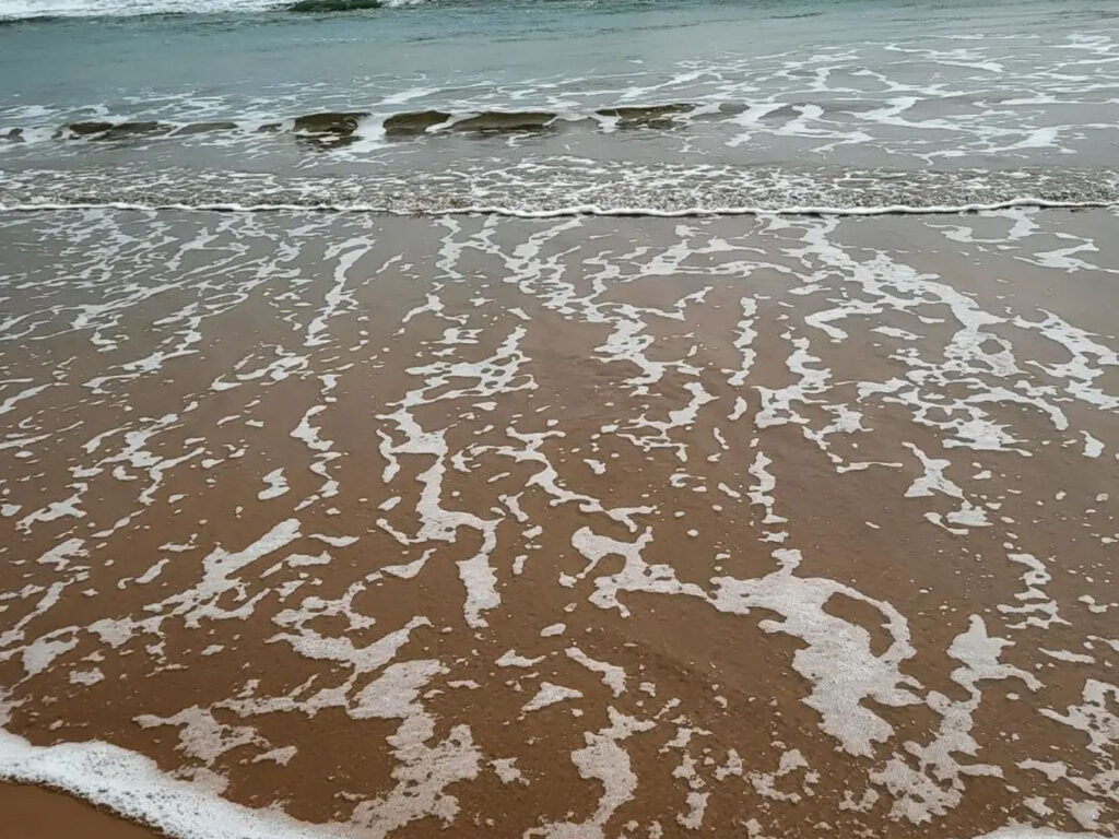 Siali Sea Beach & Eco Resort, Jagatsinghpur, Odisha