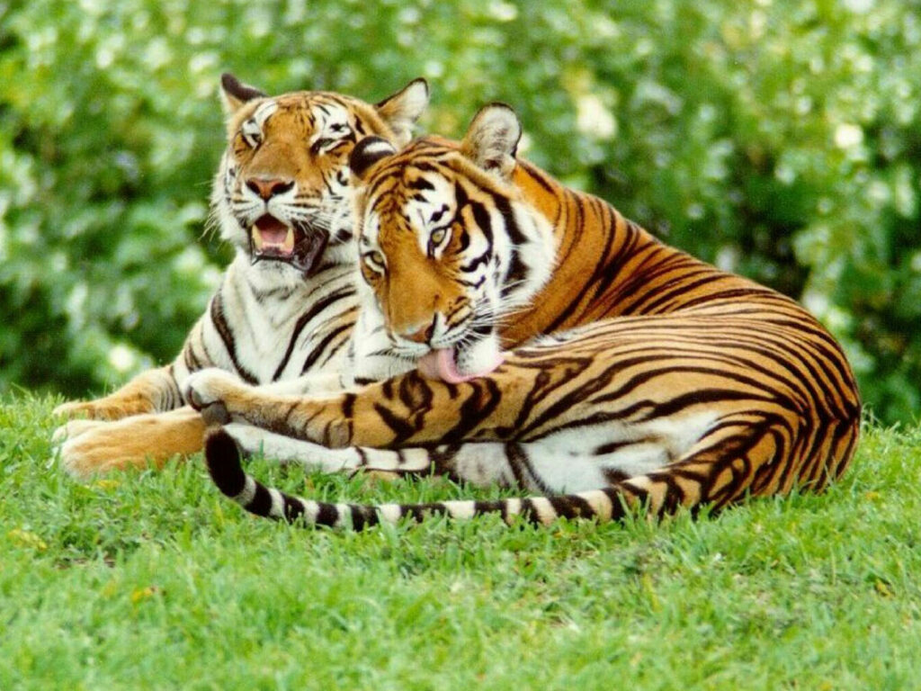 Turekela Wildlife Sanctuary