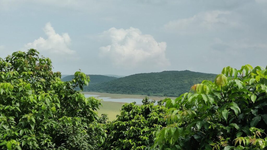 Chandaka Nature Camp: Where Ecotourism Meets Adventure