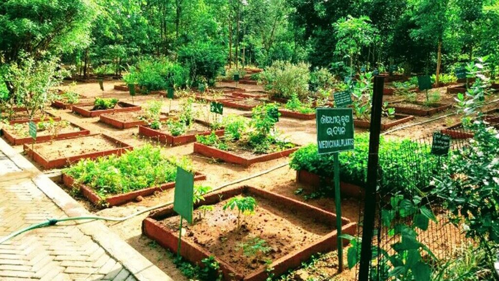Best Phulbani Nature Camp, Wildlife, Greenery, Mulagudari, Odisha