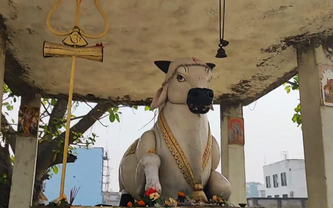 Gudeswar Shiva Temple, Durgapalli, Sambalpur, Odisha