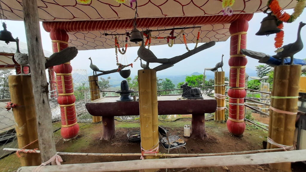  Swarnagiri-Temple-Panasapadar