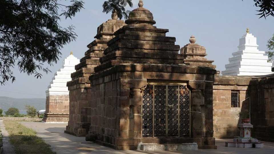 Pataleshwar Temple, Jaipur, Rajasthan