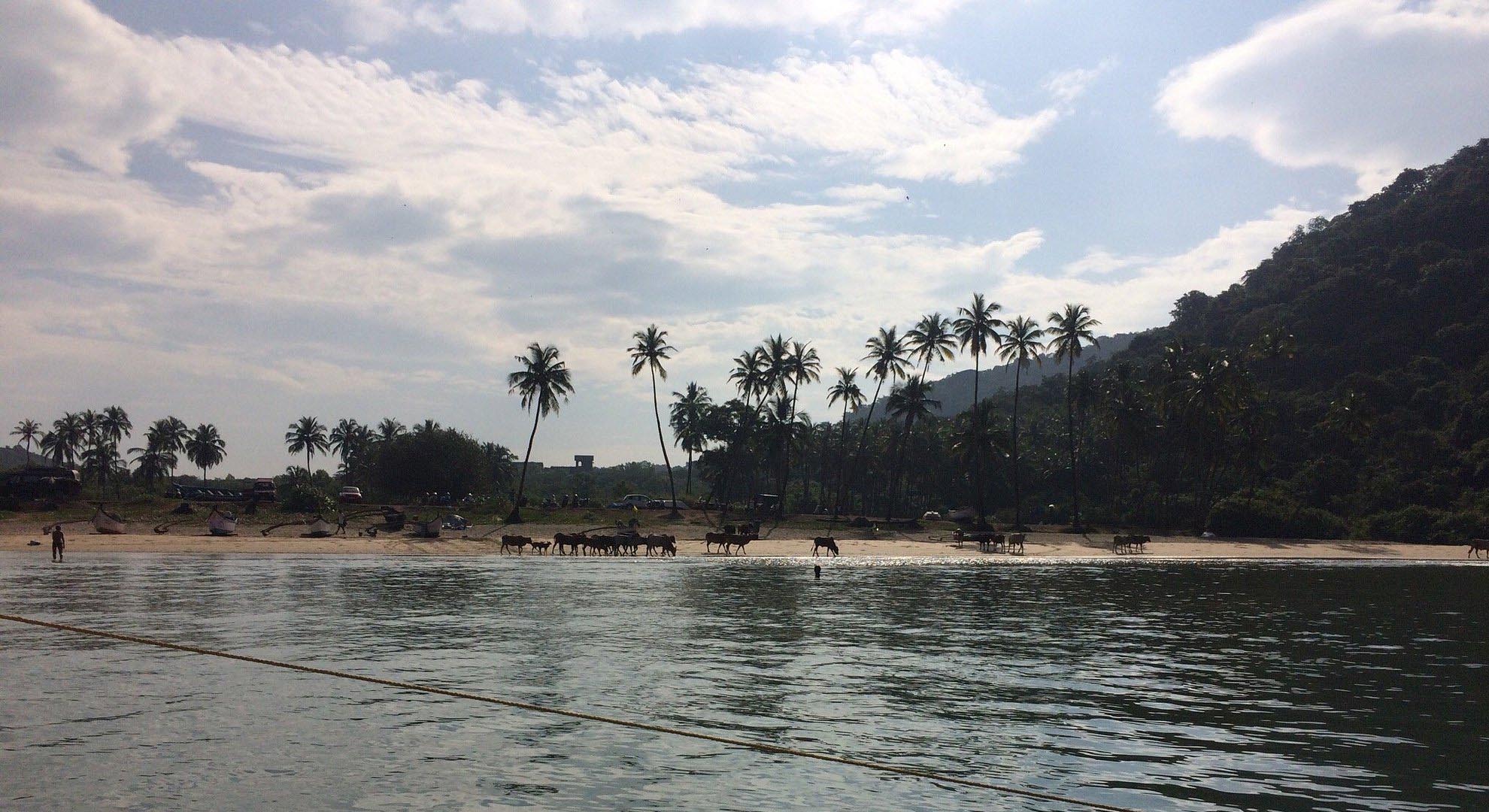 Agonda Beach, Goa (Things to do, Location, Activities, Night Life & Facts)