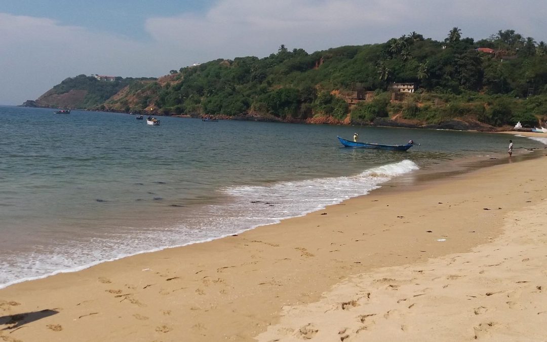 Baina Beach, Goa (Things to do, Location, Activities, Night Life & Facts)