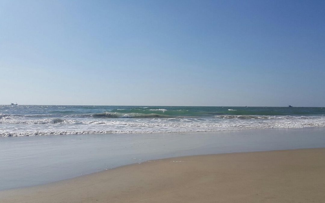 Benaulim Beach, Goa (Things to do, Location, Activities, Night Life & Facts)