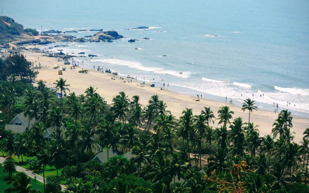 Chapora Beach, Goa (Things to do, Location, Activities, Night Life & Facts)