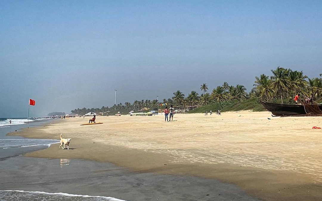 Colva Beach, Goa (Things to do, Location, Activities, Night Life & Facts)