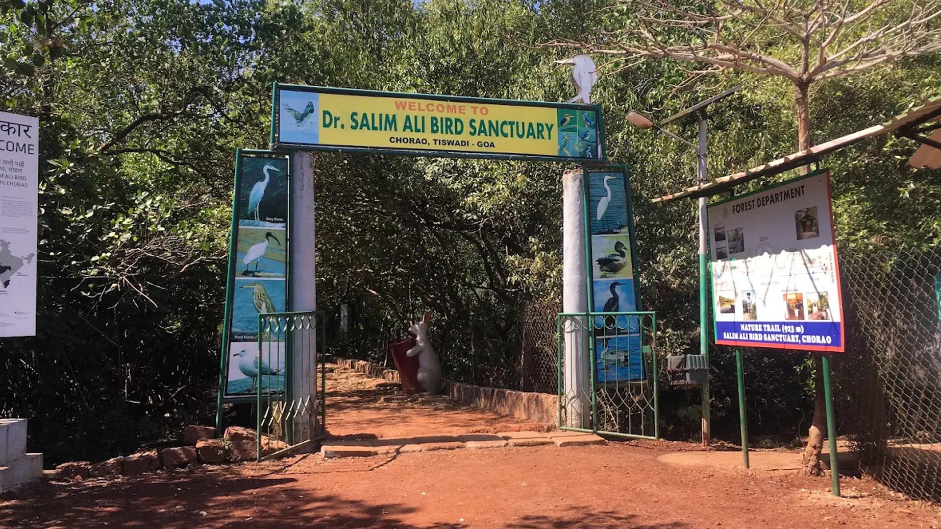 Dr. Salim Ali Bird Sanctuary, Goa (Things to do, Location, Activities, Night Life & Facts)