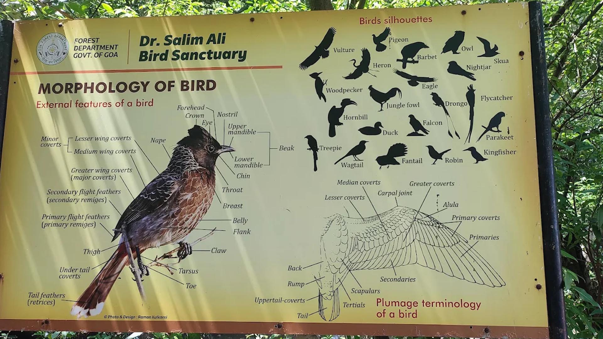 Dr. Salim Ali Bird Sanctuary, Goa (Things to do, Location, Activities, Night Life & Facts)