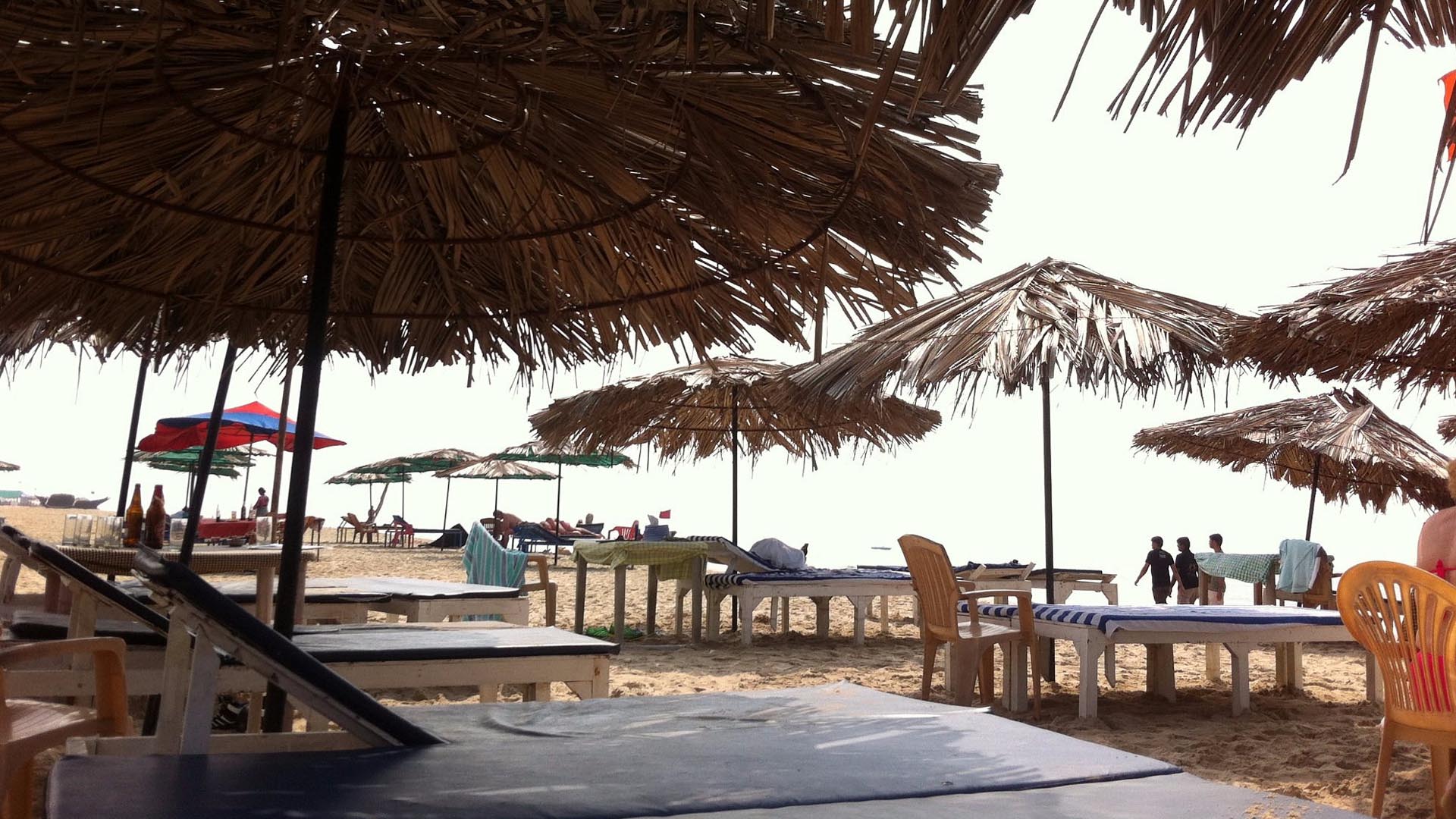 Majorda Beach, Goa (Things to do, Location, Activities, Night Life & Facts)